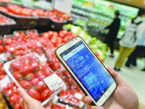 給食品銷(xiāo)售插上互聯(lián)網(wǎng)的翅膀 劉先玲與中國(guó)食品銷(xiāo)售網(wǎng)的創(chuàng)新實(shí)踐